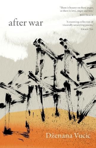 Cover image for after war