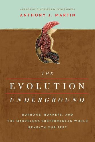 Cover image for The Evolution Underground: Burrows, Bunkers, and the Marvelous Subterranean World Beneath our Feet