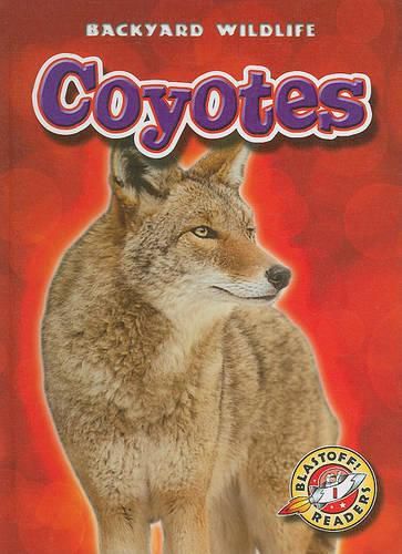 Cover image for Coyotes