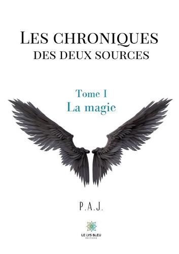 Cover image for Les chroniques des deux sources: Tome I - La magie