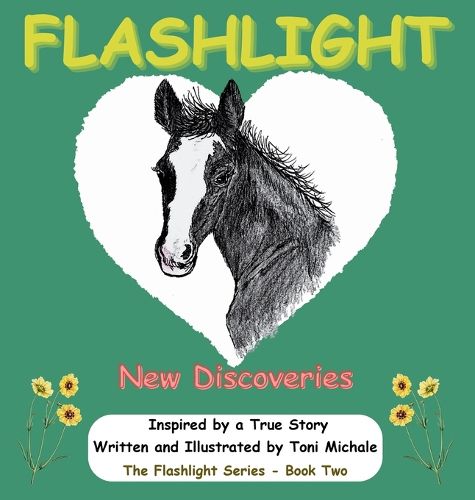Cover image for Flashlight - New Discoveries