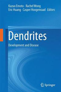 Cover image for Dendrites: Development and Disease