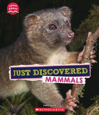 Cover image for Just Discovered Mammals (Learn About: Animals)