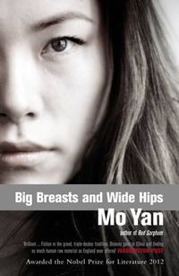 Cover image for Big Breasts, Wide Hips
