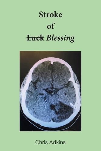 Cover image for Stroke of Blessing