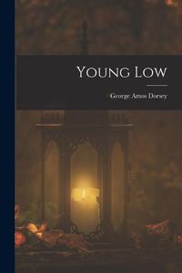 Cover image for Young Low