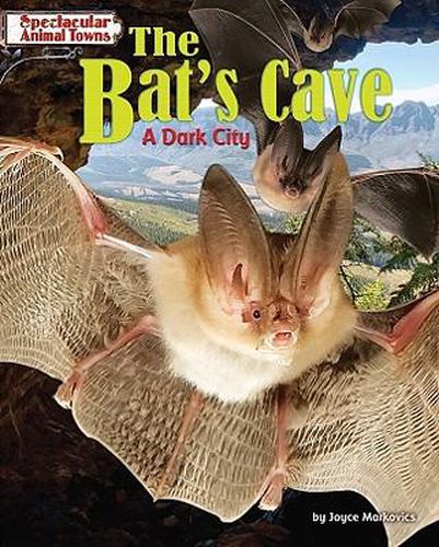 The Bat's Cave: A Dark City