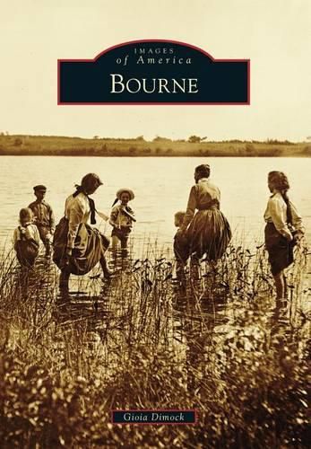 Cover image for Bourne