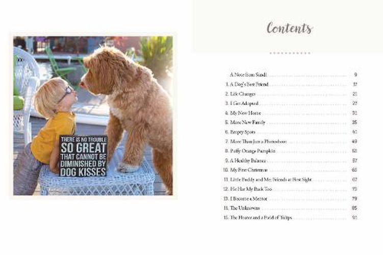 Cover image for Reagandoodle and Little Buddy: The True Story of a Labradoodle and His Toddler Best Friend