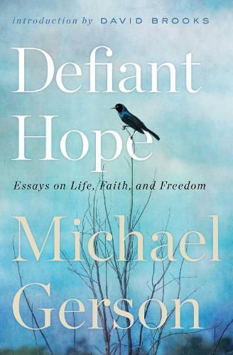 Cover image for Defiant Hope