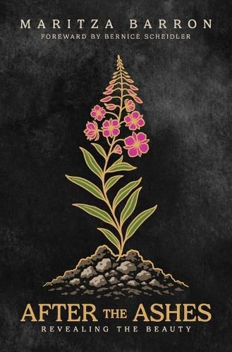 Cover image for After The Ashes
