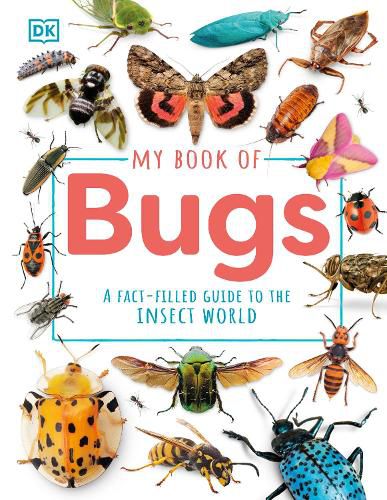 Cover image for My Book of Bugs