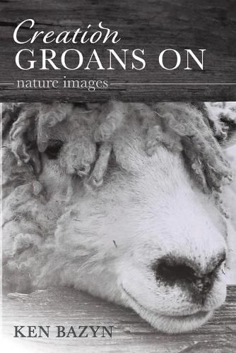 Cover image for Creation Groans on: Nature Images