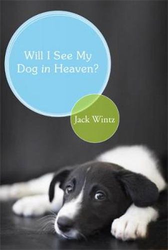 Cover image for Will I See My Dog In Heaven