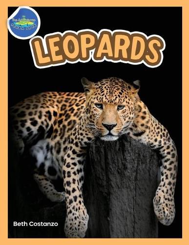 Cover image for The Amazing World of Leopards Booklet with Activities ages 4-8