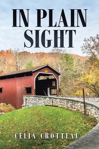 Cover image for In Plain Sight