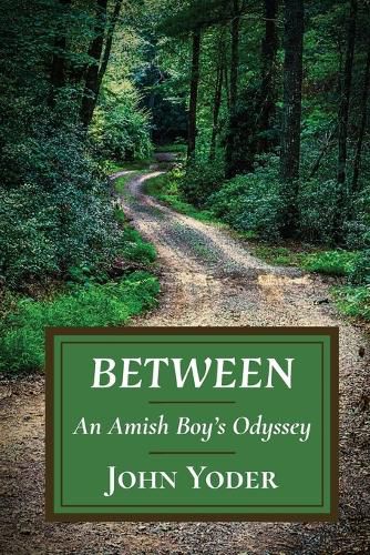 Cover image for Between
