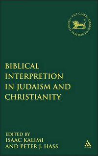 Cover image for Biblical Interpretation in Judaism and Christianity