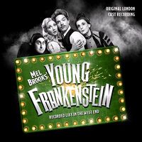 Cover image for Mel Brooks Young Frankenstein