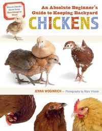 Cover image for Absolute Beginner's Guide to Keeping Backyard Chickens: Watch Chicks Grow from Hatchlings to Hens