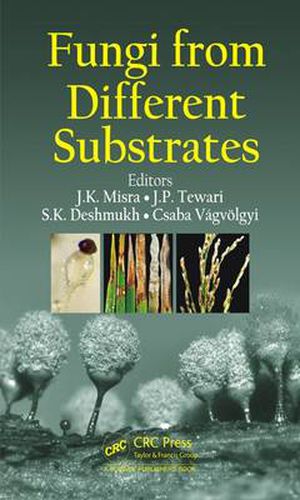 Cover image for Fungi From Different Substrates