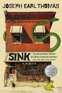 Cover image for Sink