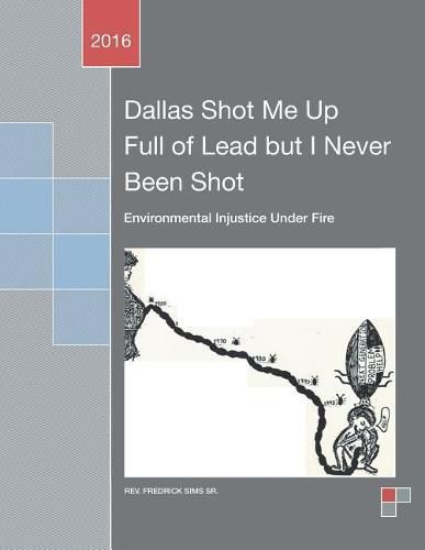 Cover image for Dallas Shot Me Up Full of Lead But I Never Been Shot: Environmental Injustice Under Fire