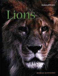 Cover image for Lions