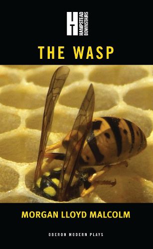 Cover image for The Wasp