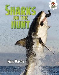 Cover image for Sharks on the Hunt