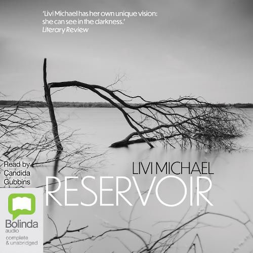 Cover image for Reservoir