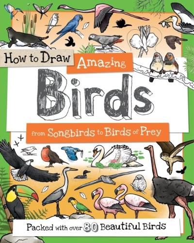 Cover image for How to Draw Amazing Birds