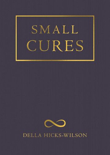 Cover image for Small Cures