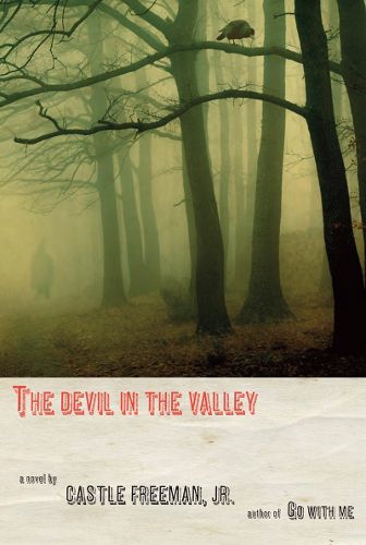 Cover image for The Devil in the Valley