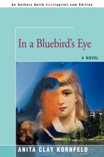 Cover image for In a Bluebird's Eye