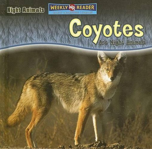 Coyotes Are Night Animals