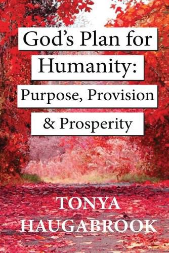 Cover image for God's Plan for Humanity: Purpose, Provision, and Prosperity