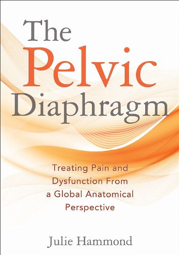 Cover image for The Pelvic Diaphragm