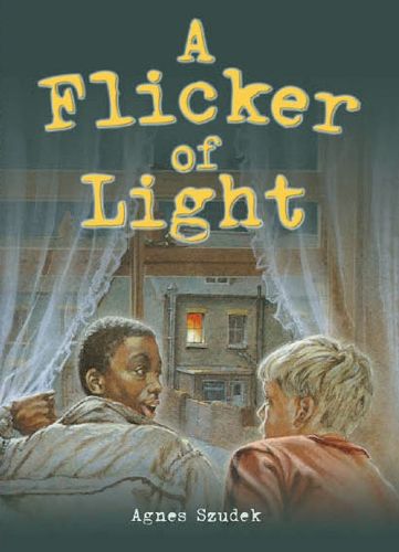 Cover image for Rigby Literacy Collections Take-Home Library Upper Primary: A Flicker of Light (Reading Level 30+/F&P Level V-Z)