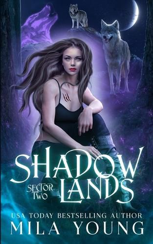 Cover image for Shadowlands Sector Two