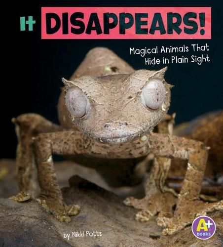 Cover image for It Disappears!: Magical Animals That Hide in Plain Sight (Magical Animals)