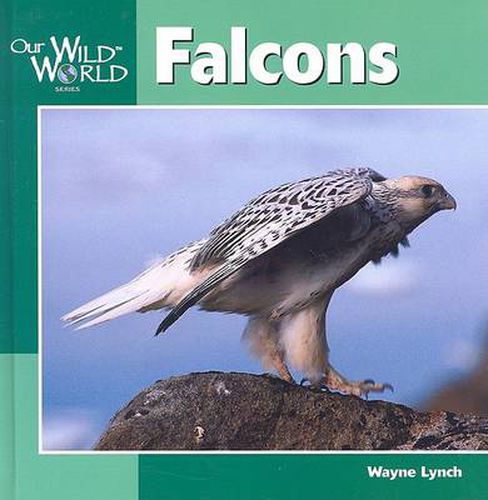 Cover image for Falcons