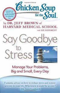 Cover image for Chicken Soup for the Soul: Say Goodbye to Stress: Manage Your Problems, Big and Small, Every Day