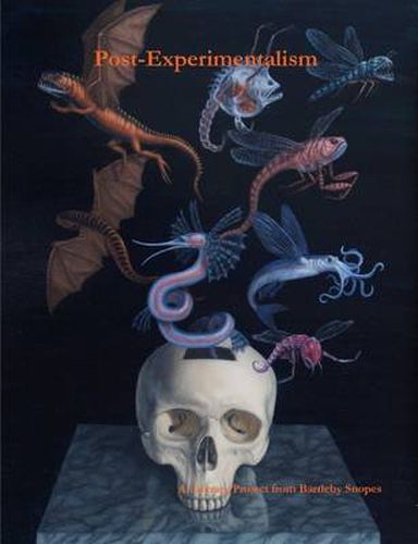 Cover image for Post-Experimentalism