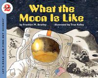 Cover image for What the Moon is Like