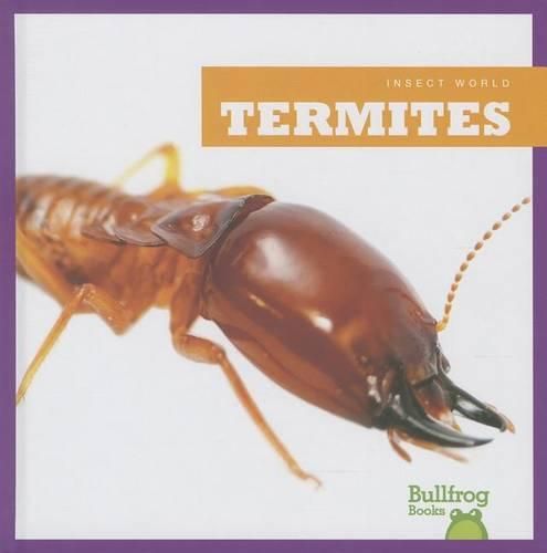 Cover image for Termites