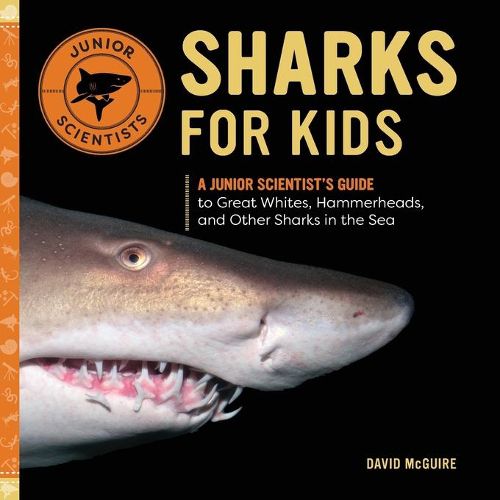 Cover image for Sharks for Kids: A Junior Scientist's Guide to Great Whites, Hammerheads, and Other Sharks in the Sea