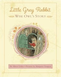 Cover image for Little Grey Rabbit: Wise Owl's Story