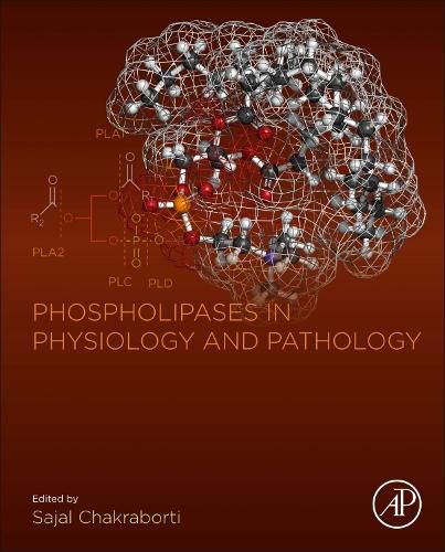 Cover image for Phospholipases in Physiology and Pathology