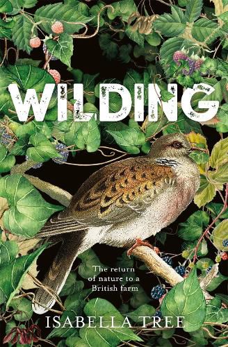 Cover image for Wilding: The Return of Nature to a British Farm